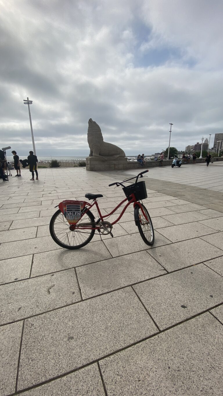 Viajé sola a Mar del Plata